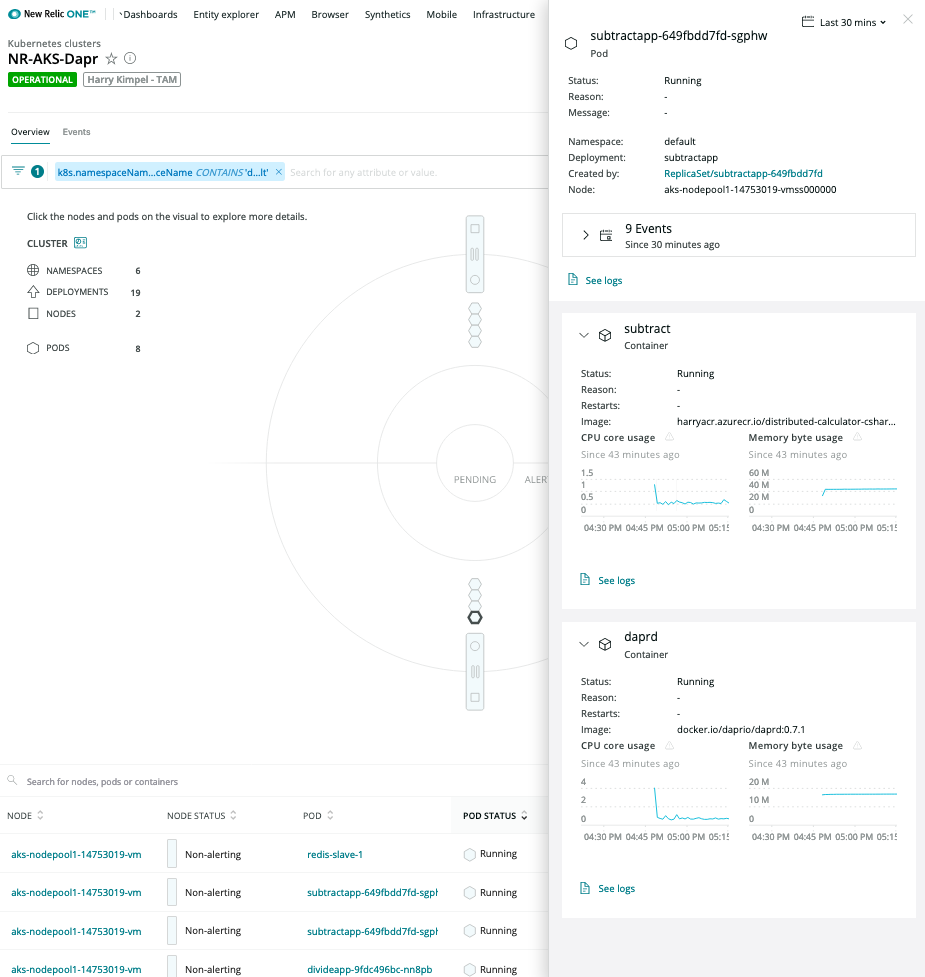 New Relic K8s Pod Level Details